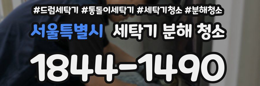 서울특별시 세탁기 분해 청소