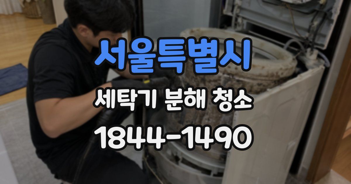 서울특별시 세탁기 분해 청소