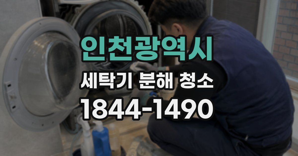 인천광역시 세탁기 분해 청소