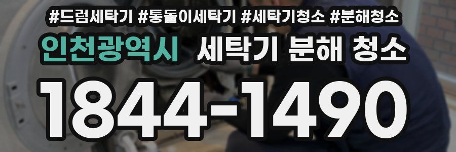 인천광역시 세탁기 분해 청소