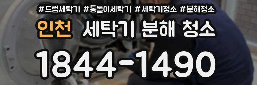 인천 세탁기 분해 청소