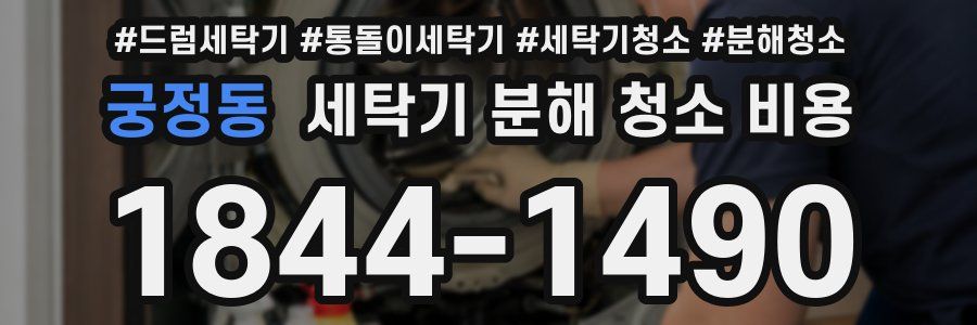 궁정동 세탁기 분해 청소 비용
