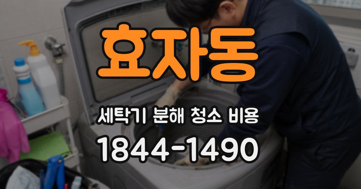 효자동 세탁기 분해 청소 비용