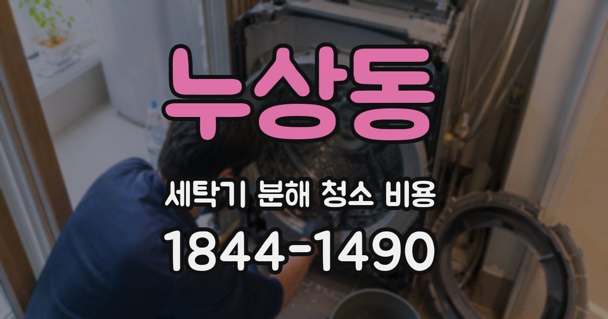 누상동 세탁기 분해 청소 비용