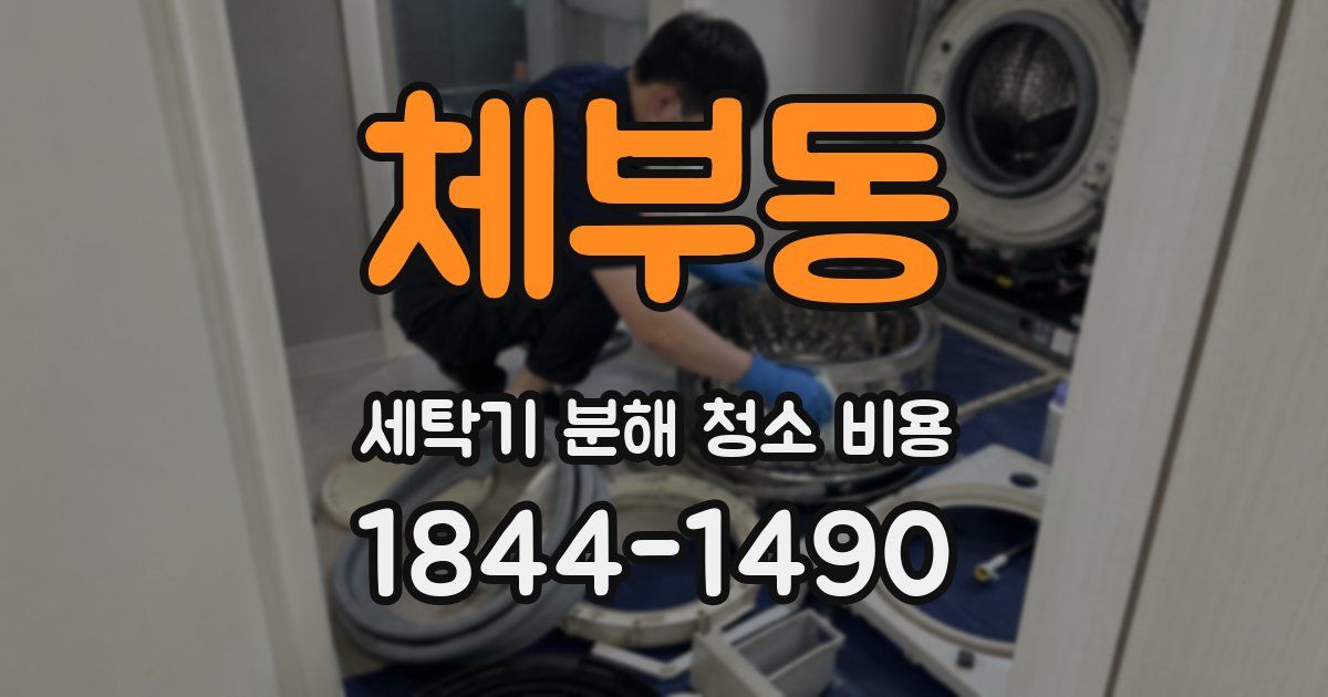 체부동 세탁기 분해 청소 비용