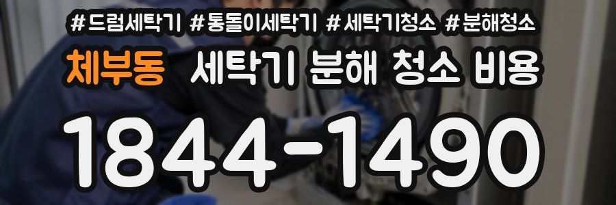 체부동 세탁기 분해 청소 비용
