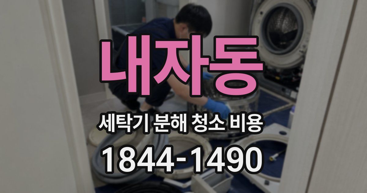 내자동 세탁기 분해 청소 비용