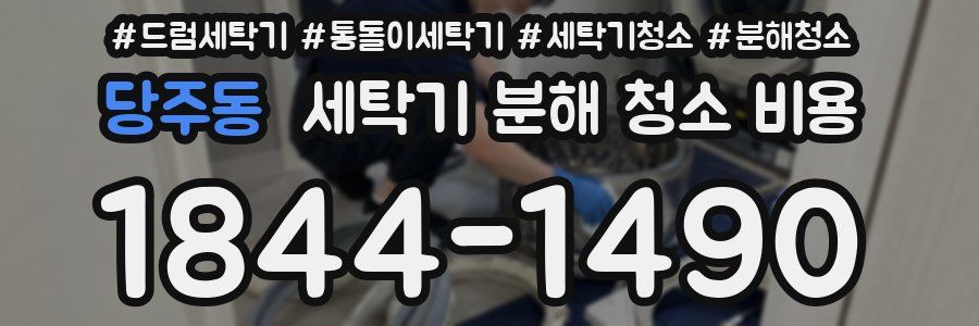 당주동 세탁기 분해 청소 비용