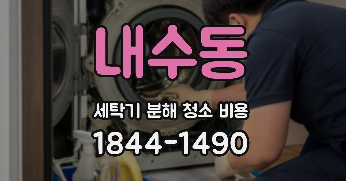 내수동 세탁기 분해 청소 비용