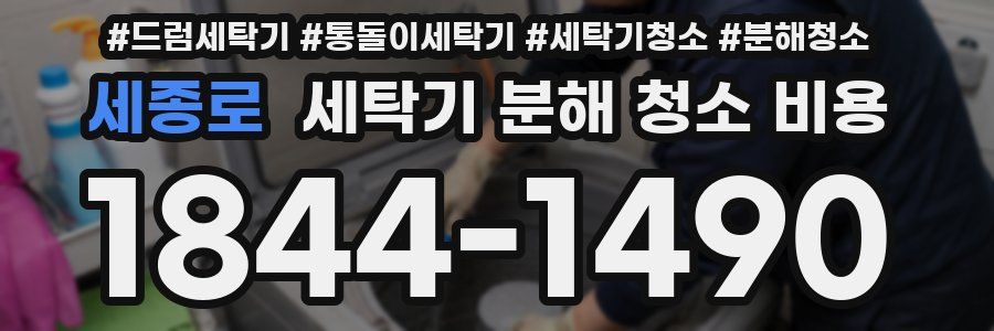 세종로 세탁기 분해 청소 비용