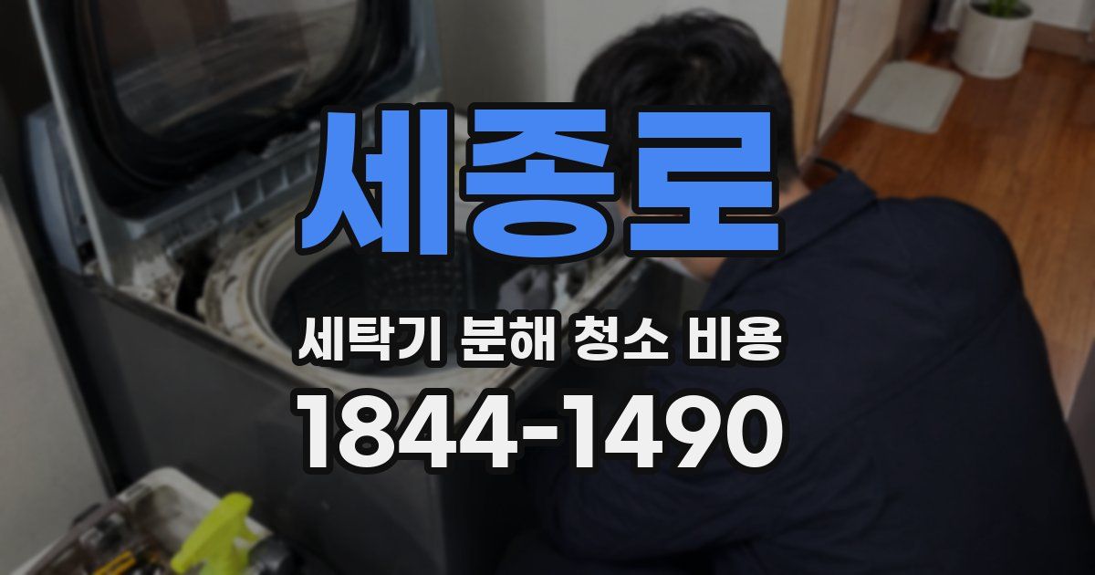 세종로 세탁기 분해 청소 비용