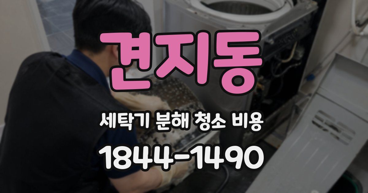 견지동 세탁기 분해 청소 비용