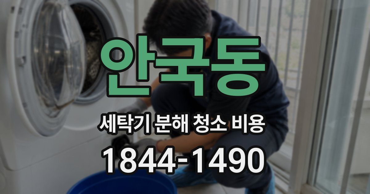 안국동 세탁기 분해 청소 비용