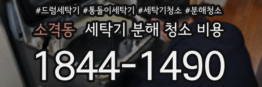 소격동 세탁기 분해 청소 비용
