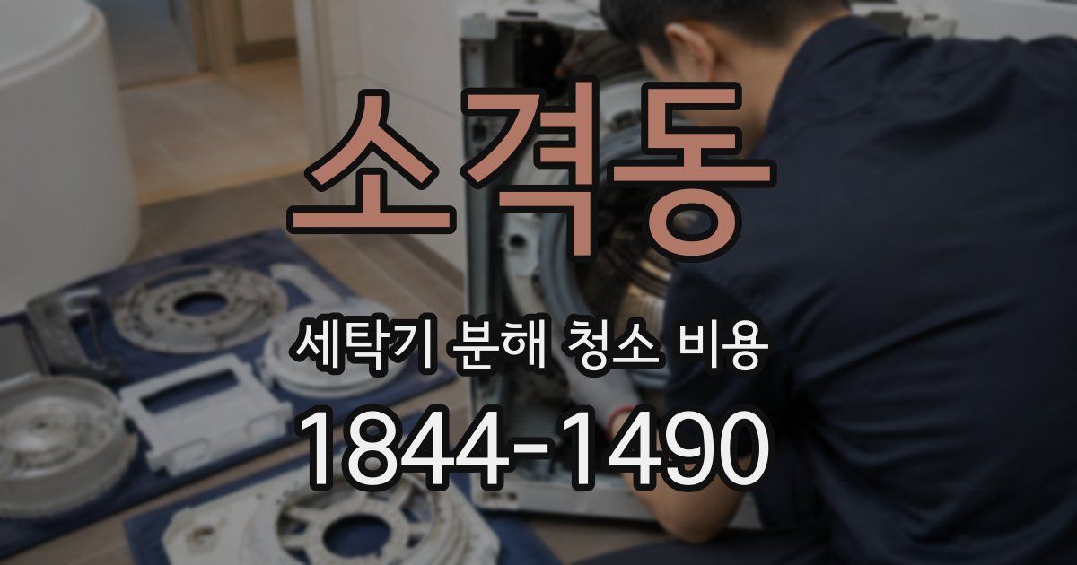 소격동 세탁기 분해 청소 비용