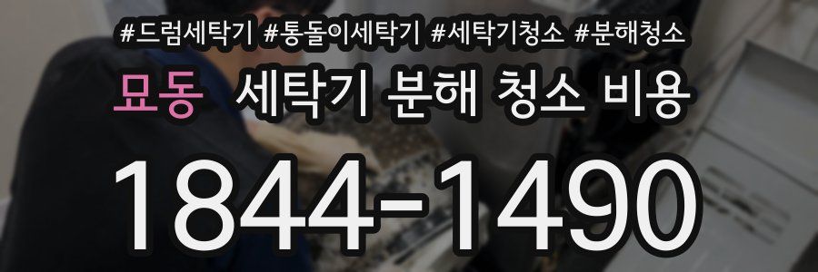 묘동 세탁기 분해 청소 비용