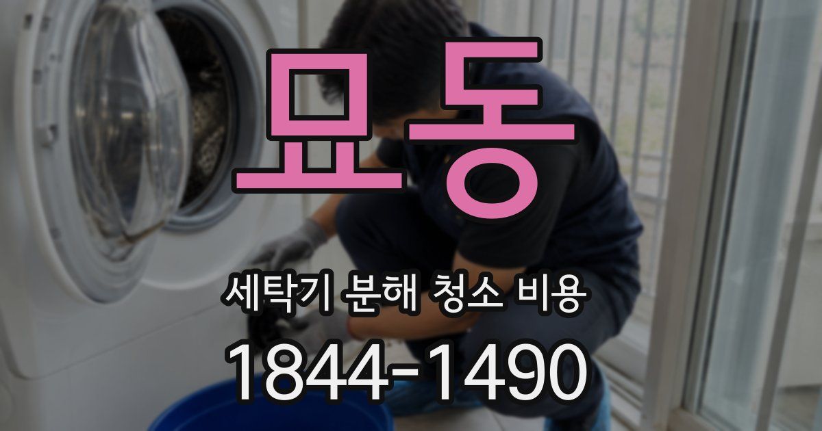 묘동 세탁기 분해 청소 비용