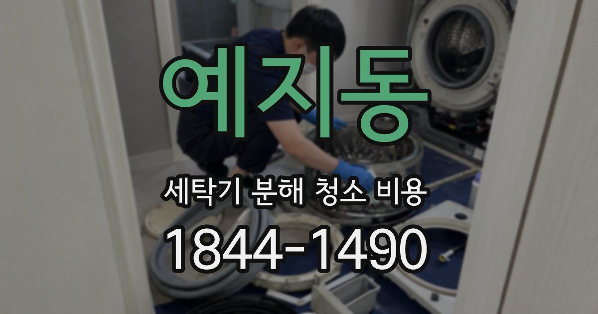 예지동 세탁기 분해 청소 비용