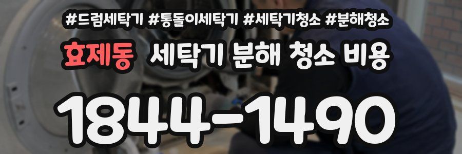 효제동 세탁기 분해 청소 비용