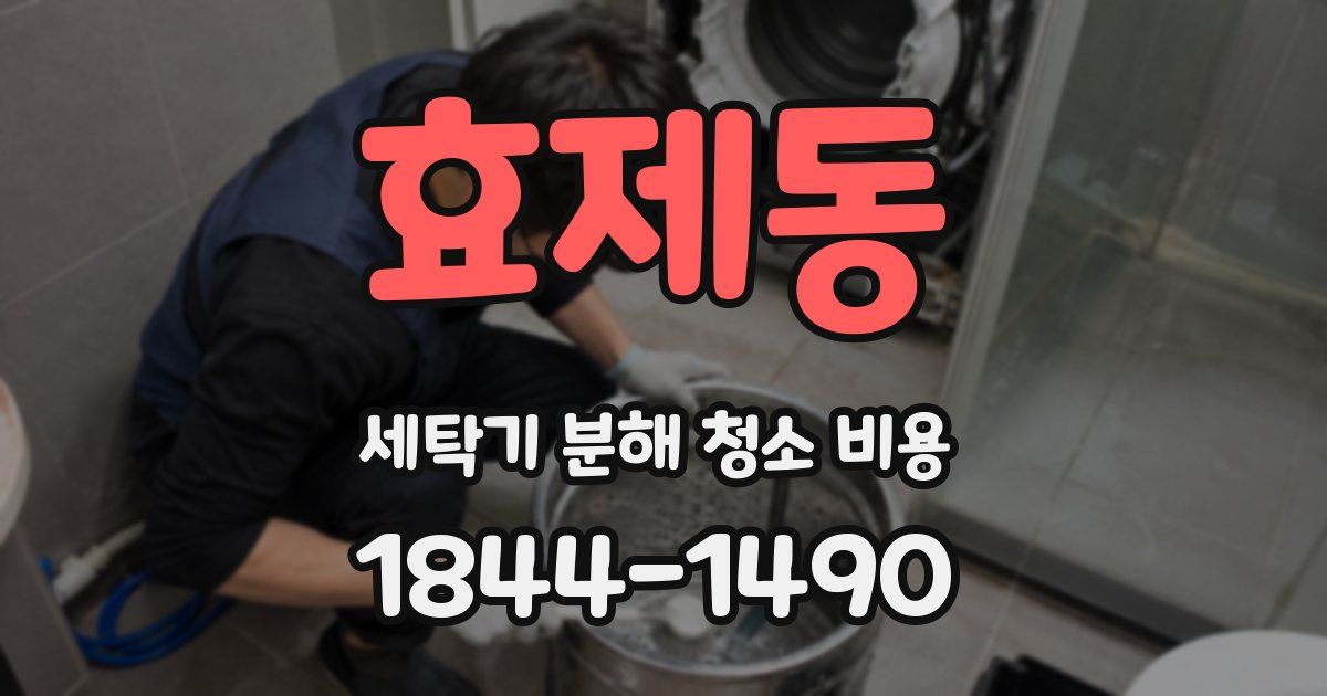 효제동 세탁기 분해 청소 비용