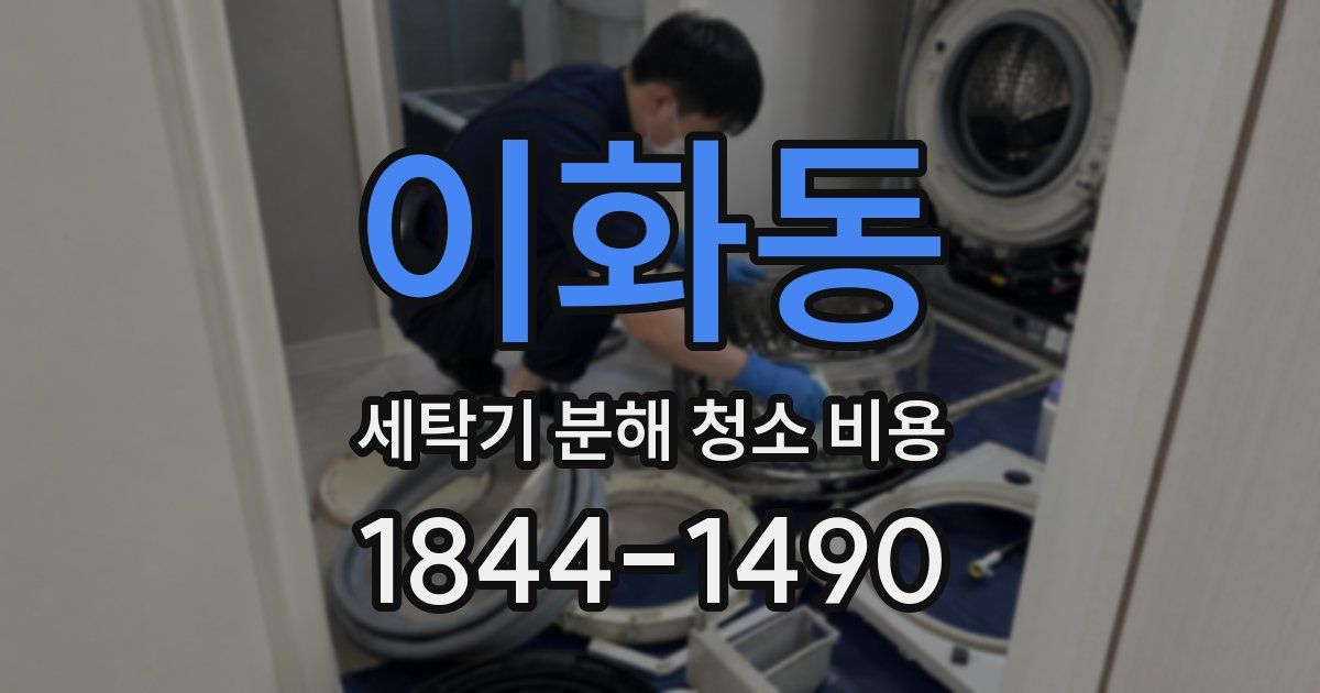 이화동 세탁기 분해 청소 비용
