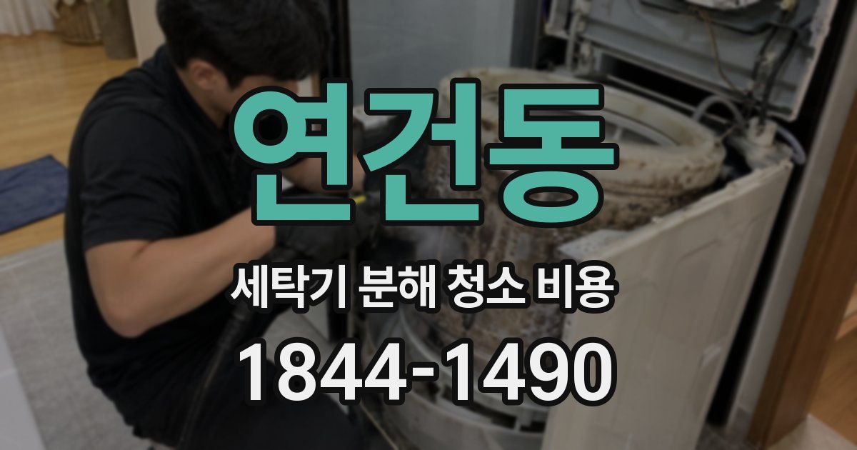 연건동 세탁기 분해 청소 비용