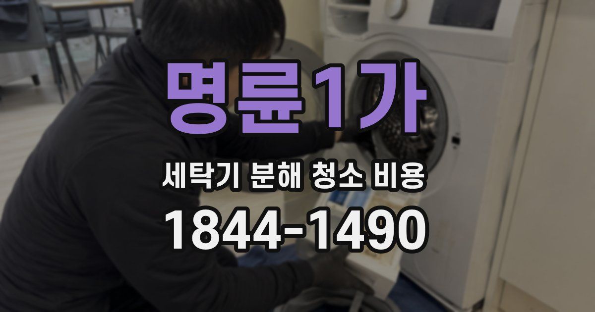 명륜1가 세탁기 분해 청소 비용