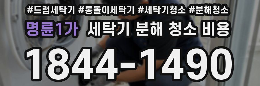 명륜1가 세탁기 분해 청소 비용