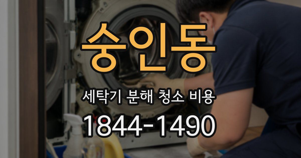 숭인동 세탁기 분해 청소 비용