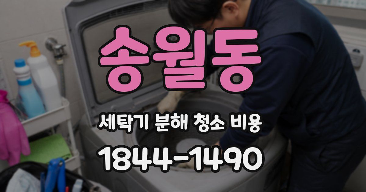 송월동 세탁기 분해 청소 비용
