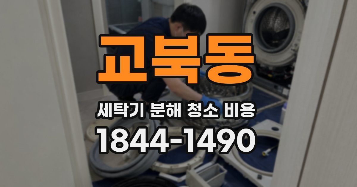 교북동 세탁기 분해 청소 비용