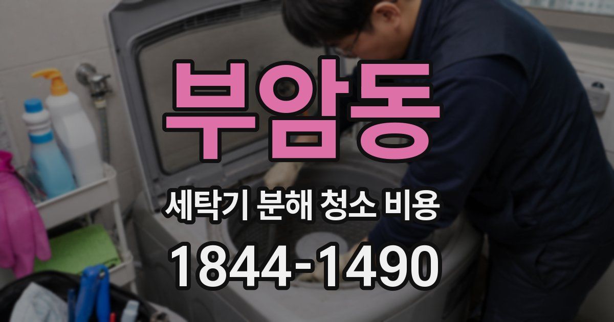 부암동 세탁기 분해 청소 비용