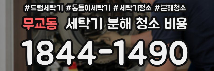 무교동 세탁기 분해 청소 비용