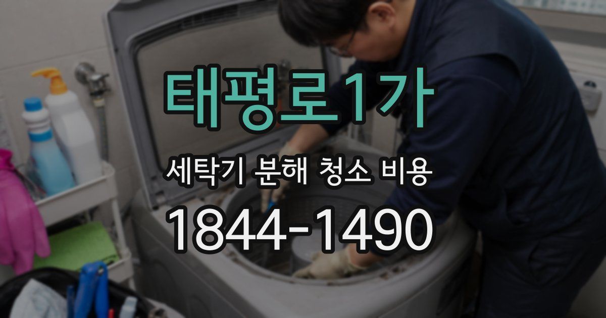 태평로1가 세탁기 분해 청소 비용