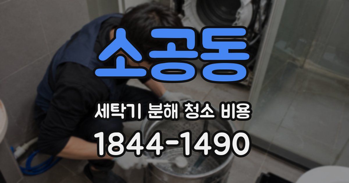 소공동 세탁기 분해 청소 비용