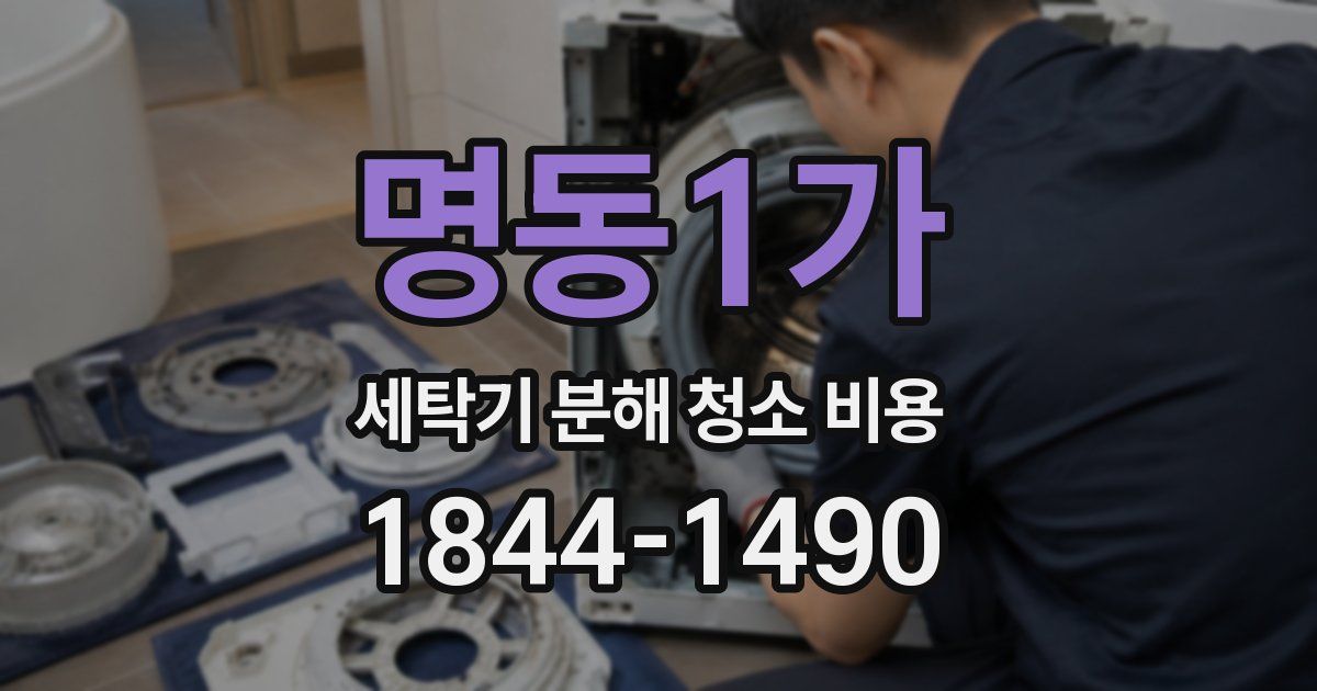 명동1가 세탁기 분해 청소 비용