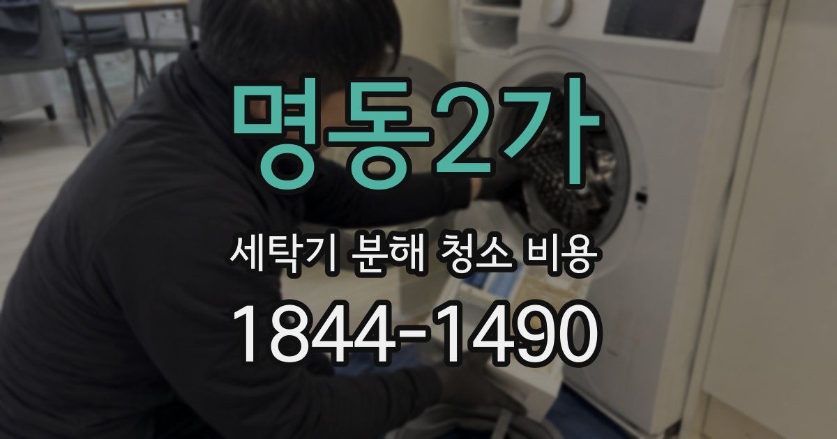 명동2가 세탁기 분해 청소 비용