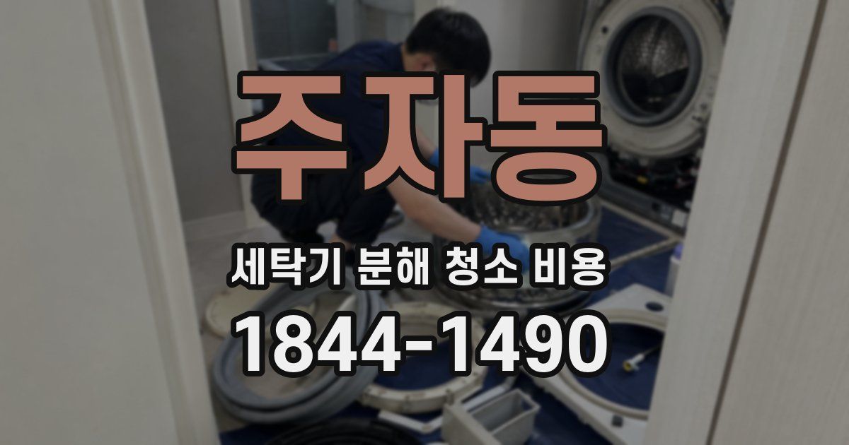 주자동 세탁기 분해 청소 비용