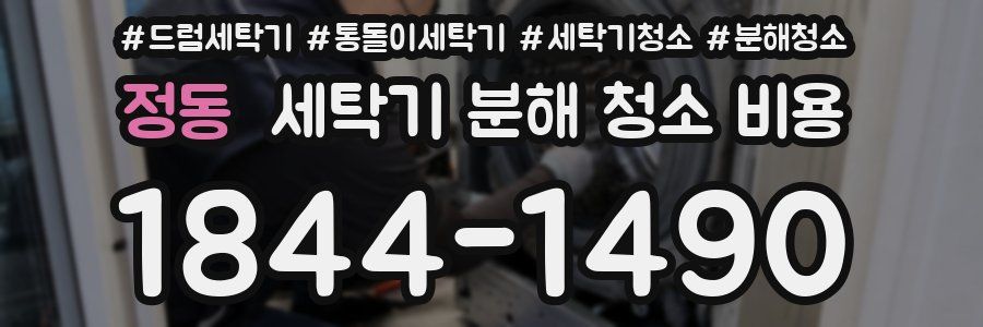 정동 세탁기 분해 청소 비용