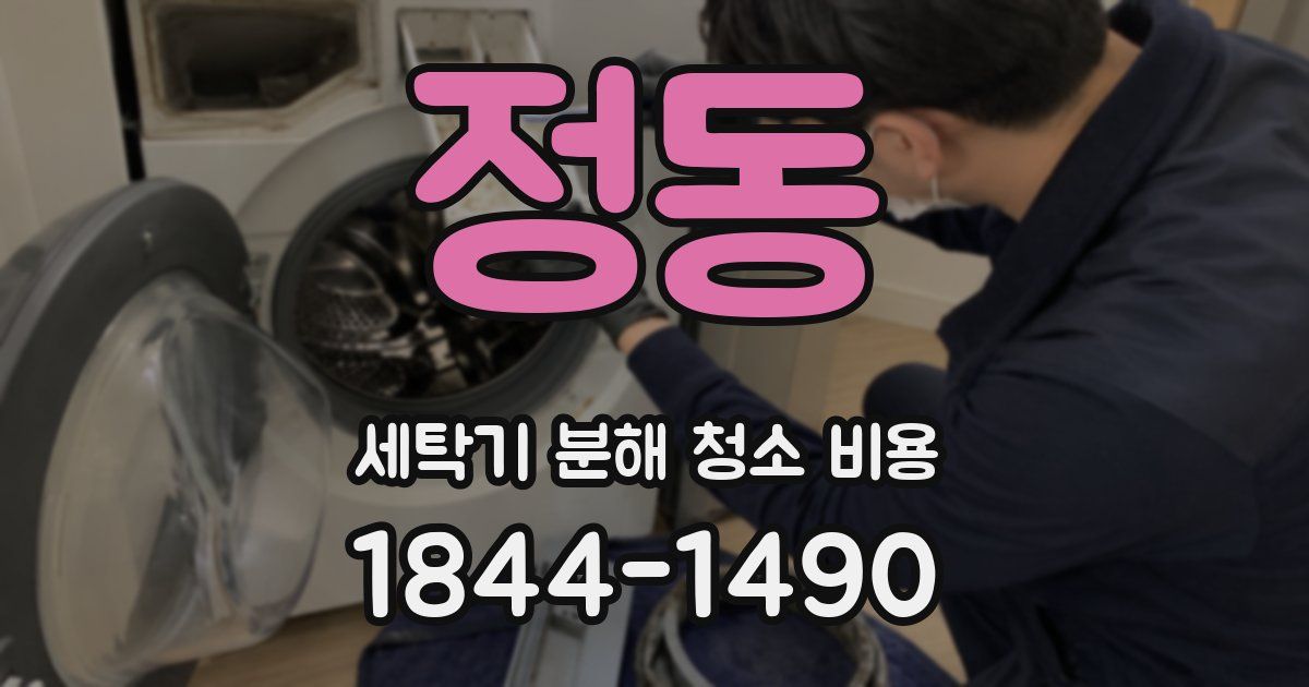 정동 세탁기 분해 청소 비용