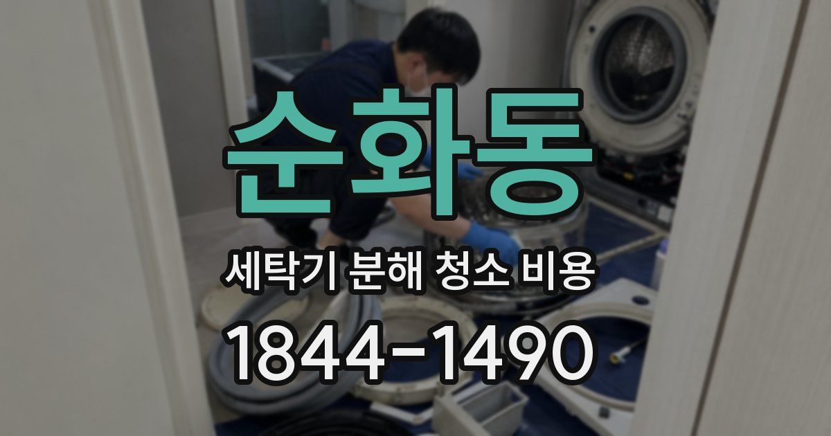 순화동 세탁기 분해 청소 비용