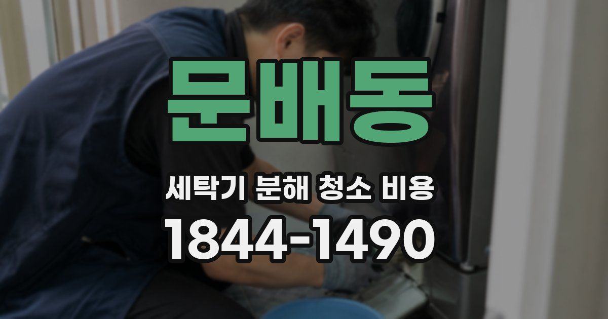 문배동 세탁기 분해 청소 비용
