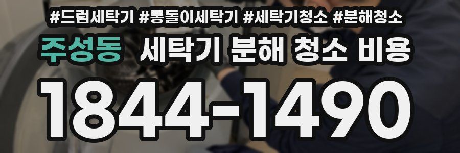 주성동 세탁기 분해 청소 비용