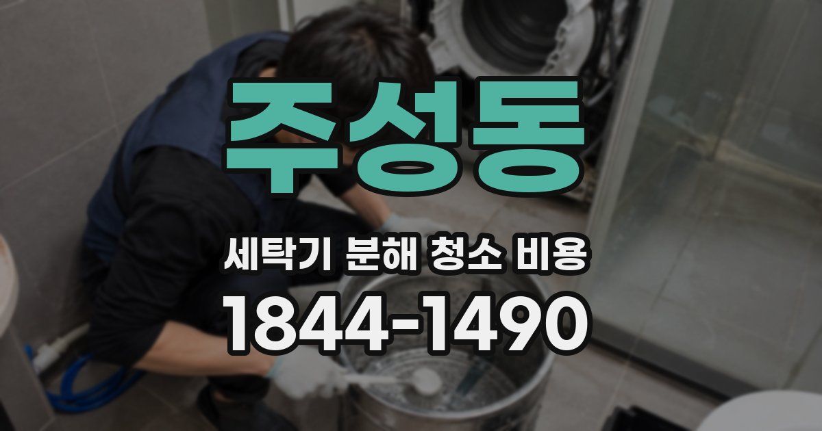 주성동 세탁기 분해 청소 비용