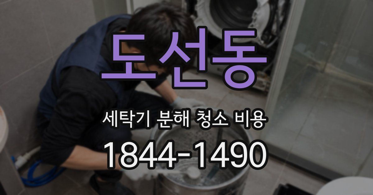 도선동 세탁기 분해 청소 비용