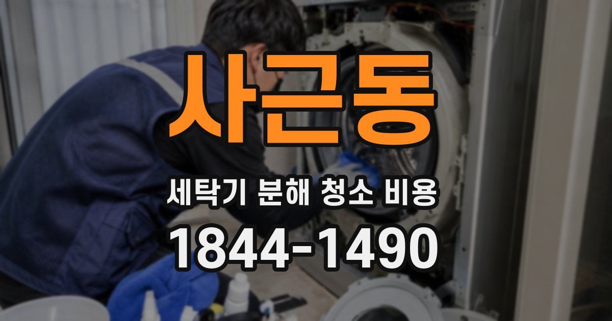 사근동 세탁기 분해 청소 비용