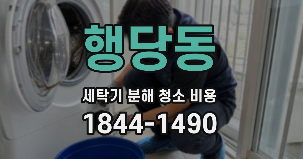 행당동 세탁기 분해 청소 비용