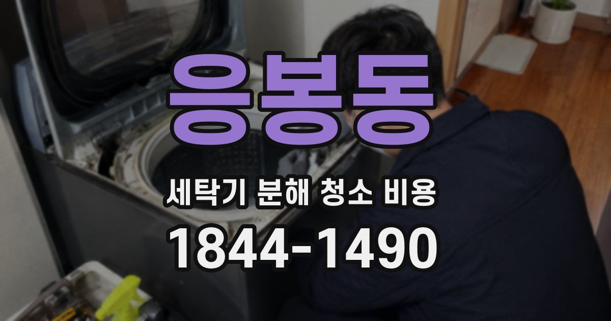 응봉동 세탁기 분해 청소 비용