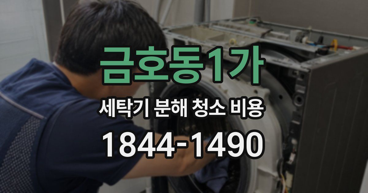 금호동1가 세탁기 분해 청소 비용