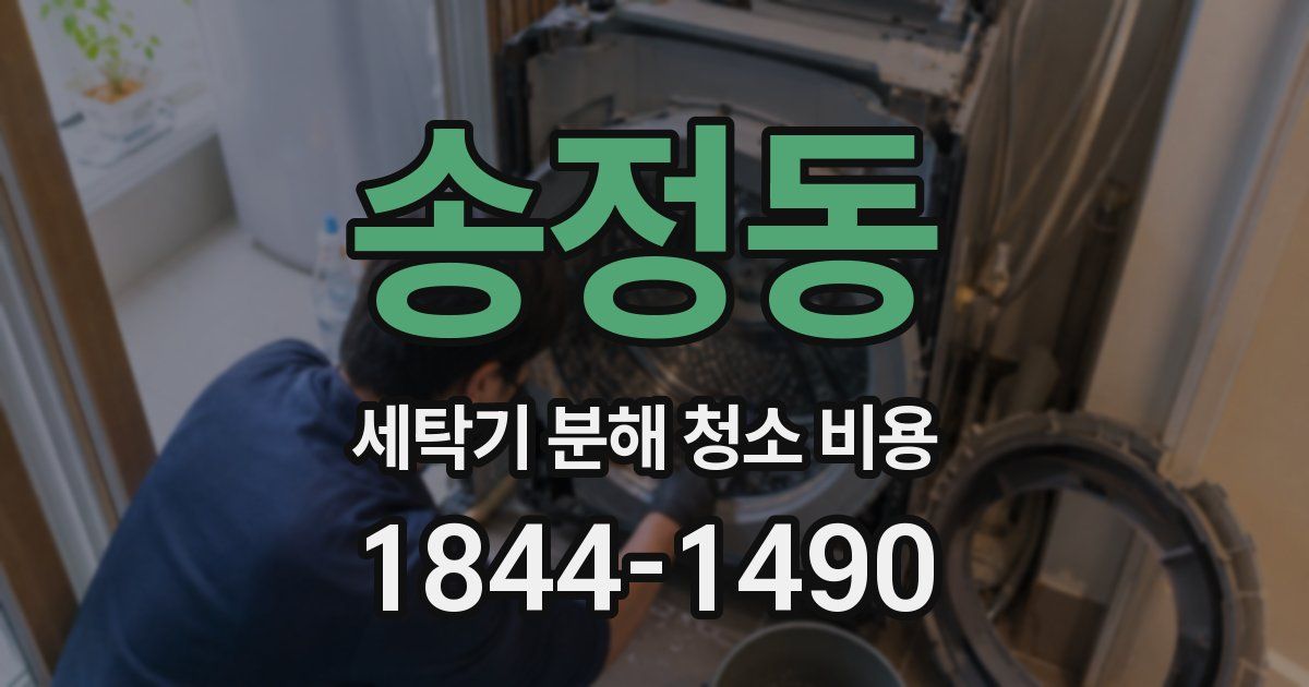 송정동 세탁기 분해 청소 비용